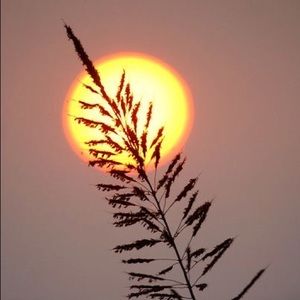 Meet your Posher, Tori